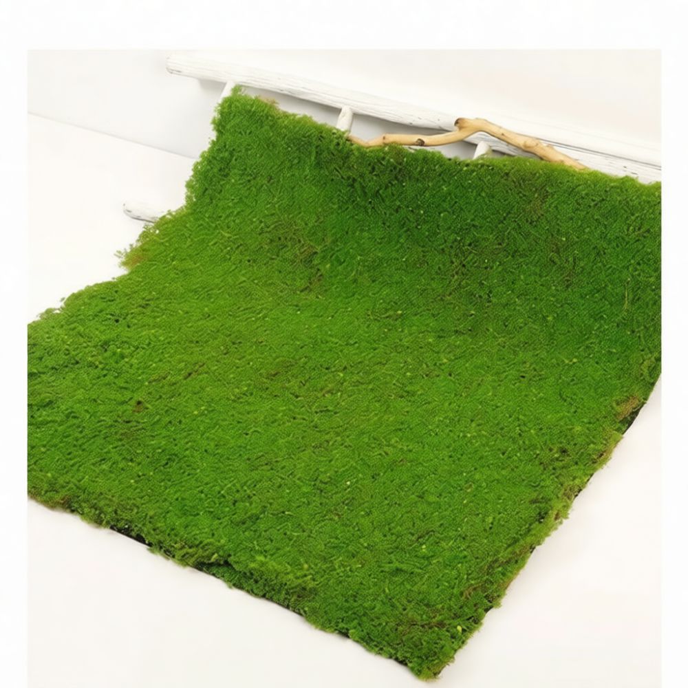 人工芝マット、造花グリーンシート。ミニチュアガーデン、屋内庭 - Preserved Moss Sheet のレビューと価格