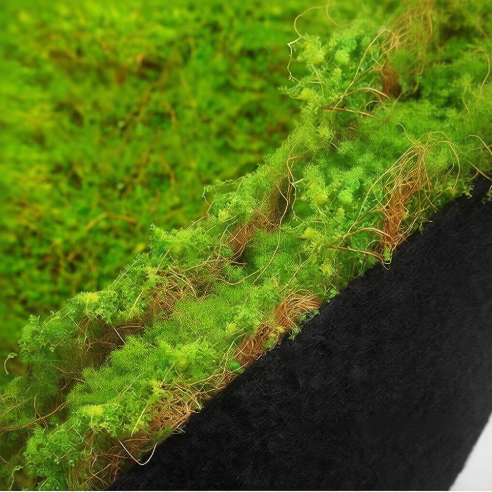 人工芝マット、造花グリーンシート。ミニチュアガーデン、屋内庭 - Preserved Moss Sheet のレビューと価格