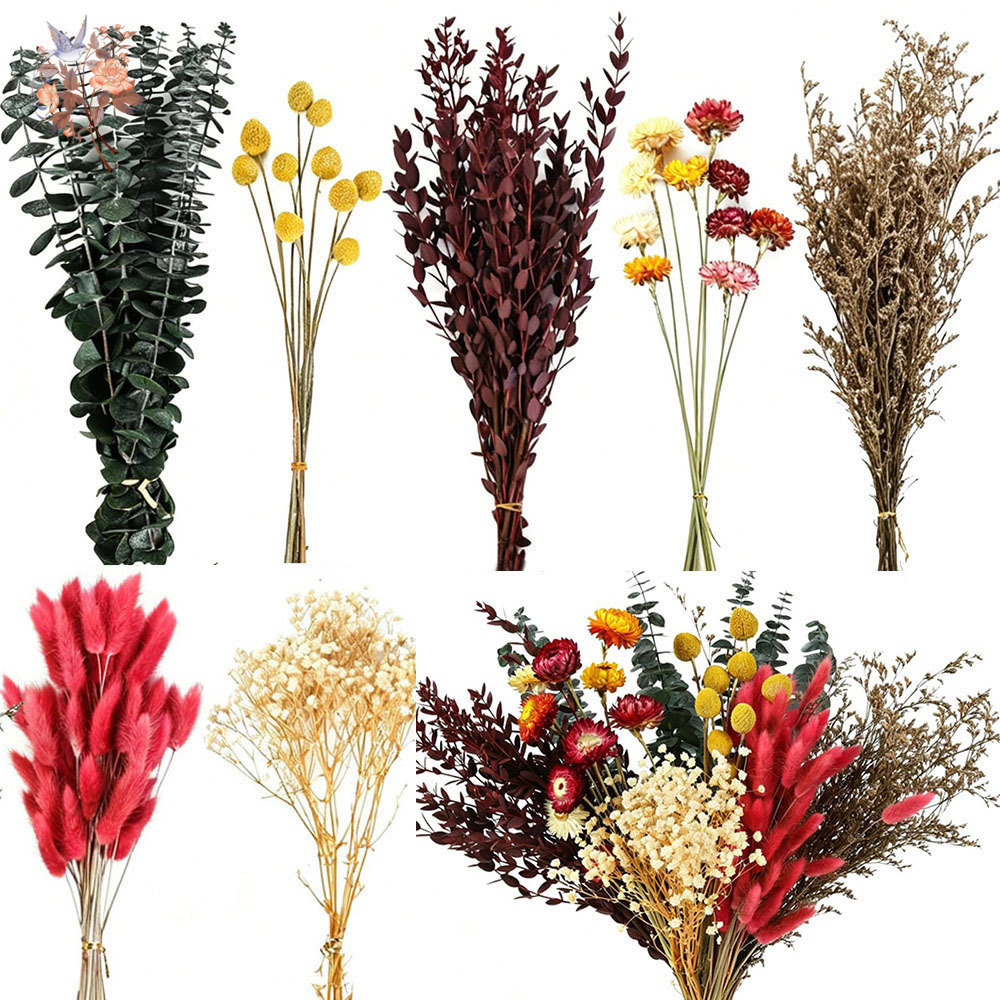 ドライフラワーの詰め合わせセット。7種類の天然ユーカリの葉を - Florist Flower Supply のレビューと価格
