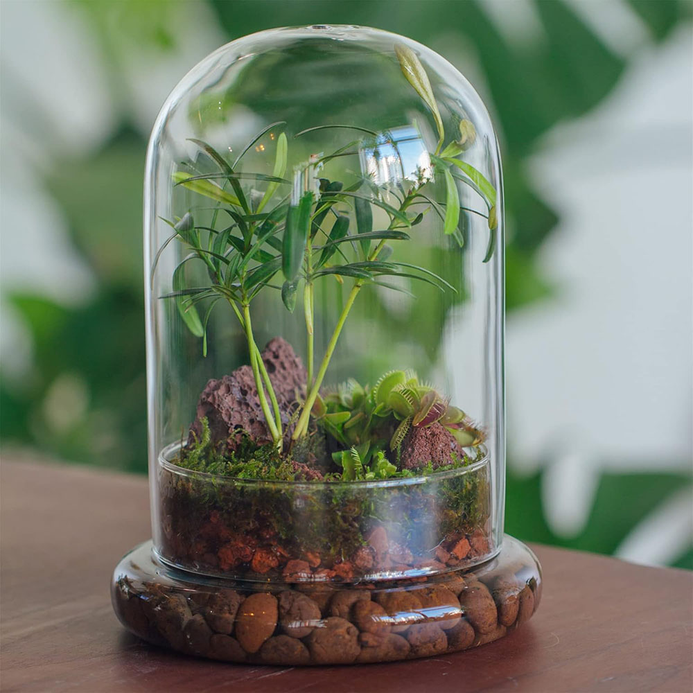 ガラスドーム エアホール付き ガラス製クローシュベルジャー  - Florist Supply Vases のレビューと価格